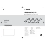 Bosch 0 601 9G3 E0A Grinder