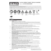 Sealey AUTOCHARGE100HF Charger manual cover