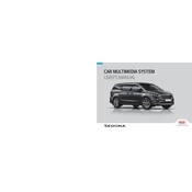 Kia Sedona Car Multimedia System 2021 Minivan manual cover