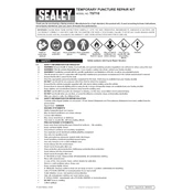 Sealey TST10 Kit manual cover