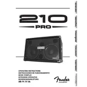 Fender 210 Pro Bass Loudspeaker Enclosure 22-17500-000 Speaker manual cover