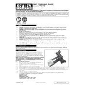 Sealey VSE110 Gauge manual cover