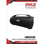 Pyle PBMSPG1BK Speaker System