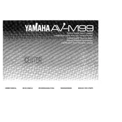 Yamaha AV-M99 Amplifier manual cover