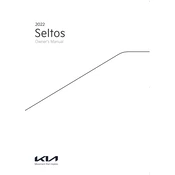 Kia Seltos 2022 Subcompact Crossover