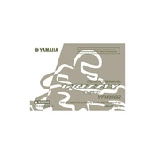 Yamaha YFM35GZ Grizzly 350 2010 manual cover