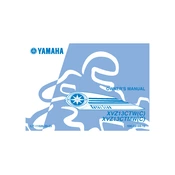 Yamaha XVZ13CTW C, XVZ13CTMW C Royal Star 2007 manual cover