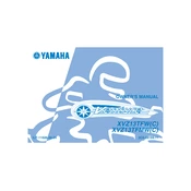 Yamaha XVZ13TFW C, XVZ13TFMW C Venture 2007 manual cover