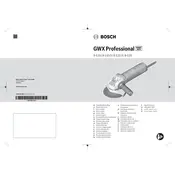 Bosch 0 601 7B1 060 Grinder manual cover