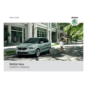 Škoda Fabia 2011 Car manual cover