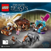 LEGO Fantastic Beasts 75952-1 Construction Set manual cover