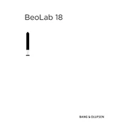 Bang Olufsen Beolab 18
