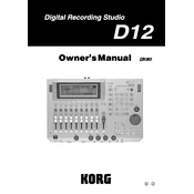 KORG D12