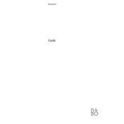 Bang Olufsen Boesystem 1