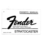 Fender Stratocaster 1971 Guitar manual cover