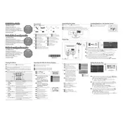 Samsung P2370HD TV manual cover