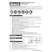 Sealey SG10E Sandblasting Kit manual cover