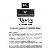 Peavey Butcher Amplifier manual cover