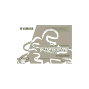 Yamaha YFM25BW Big Bear 250 2007 manual cover