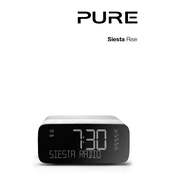 Pure Siesta Rise S manual cover