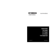 Yamaha MM700F, SX700F, VT700F, VX700F, VX700DXF 2001 manual cover