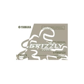 Yamaha YFM4FGX Grizzly 400 2008 manual cover