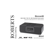 Roberts Blutune 60 DAB 2013 manual cover