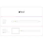 Apple Pencil
