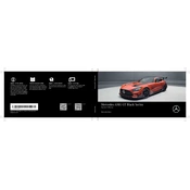 Mercedes-Benz AMT GT Black Series 2021 manual cover