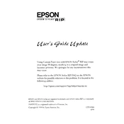 Epson StylusRIP
