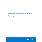 Dell NetWorker Microsoft 19.7 Software