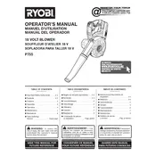 Ryobi P755 Blower manual cover