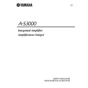 Yamaha A-S3000 Amplifier