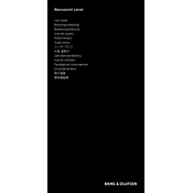 Bang Olufsen Beosound Level