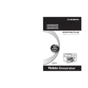 Subaru RGD3300H Generator
