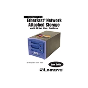 Linksys EFG80 EtherFast Network Attached Storage manual cover