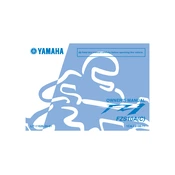 Yamaha FZS10A C FZ1 2011 manual cover