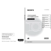 Sony NEX-3
