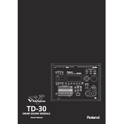 Roland TD-30