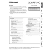 Roland GO 61P manual cover