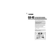 Boss GS-10