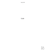 Bang Olufsen Beosound 3000