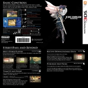 Nintendo Fire Emblem Awakening