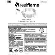 Realflame U0002-03 manual cover