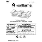 Realflame C11813LP manual cover