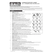 Sealey ATL09.V3 Ladder manual cover