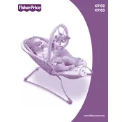 Fisher Price Mattel Pretty Pink Girls K9102 Bouncer manual cover