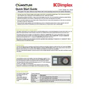 Dimplex Quantum QSG044 Heater