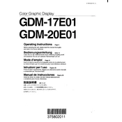 Sony GDM-17E01 manual cover