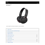 Sony MDR-XB950B1